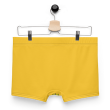 Load image into Gallery viewer, check Clean Cash Boxer Briefs
