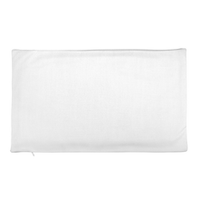 Load image into Gallery viewer, Check Clean Cash Premium Pillow Case